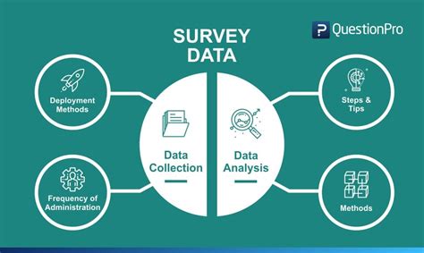 Survey Data Collection Definition Methods With Examples An Daftsex Hd