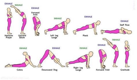 Surya Namaskar Yoga 12 Steps Names And Procedure