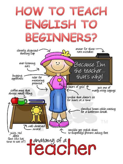 Teach English To Beginners