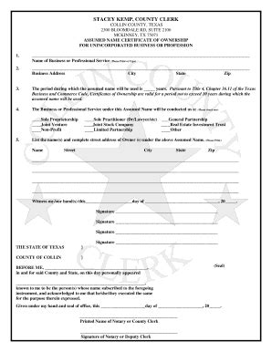 Texas Adoption Papers Fill Out Printable Pdf Forms Online