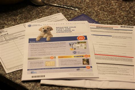 The Akc Paperwork Has Arrived