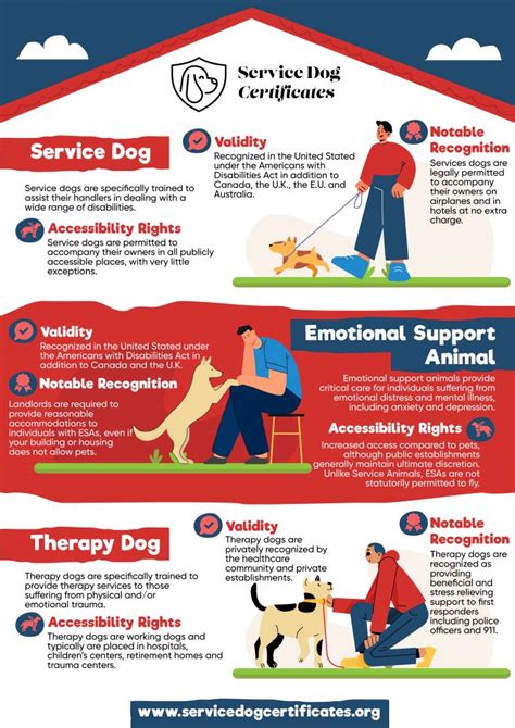 The Different Types Of Support Dogs Cheat Sheet Service Dog Certificates