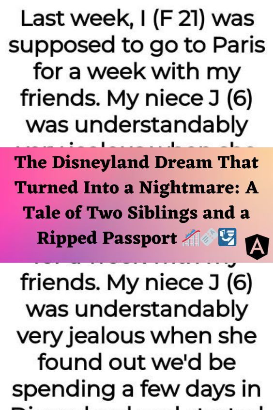 The Disneyland Dream That Turned Into A Nightmare A Tale Of Two Siblings And A Ripped Passport