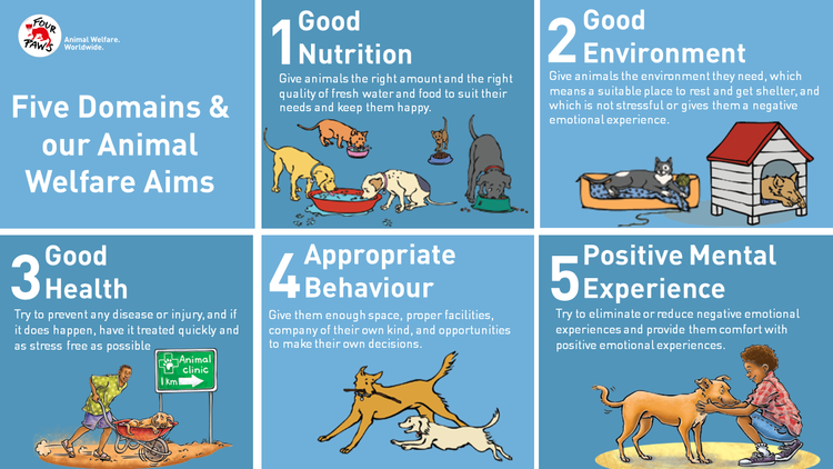 The Five Domains For Animal Welfare Four Paws In South Africa Animal Welfare Organisation