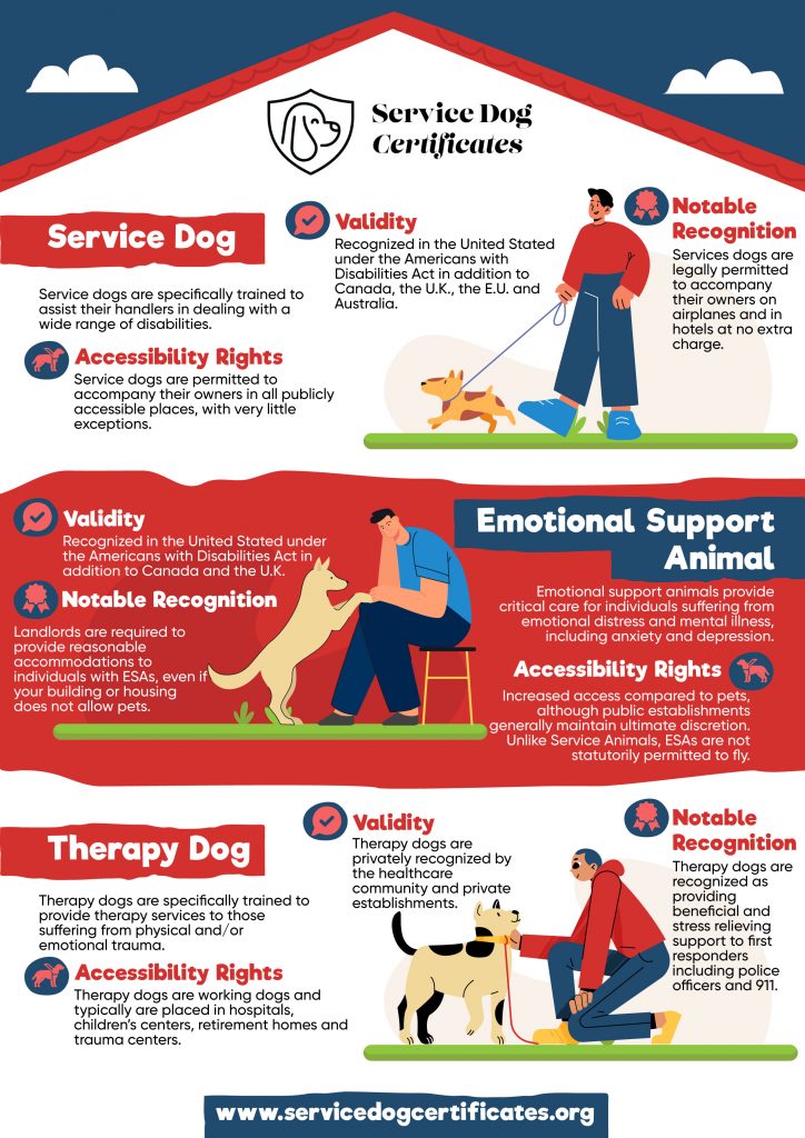 The Most Common Types Of Service Dogs And How They Can Help Omni