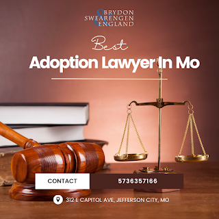 The Multifaceted Role Of An Adoption Lawyer Brydon Law Medium