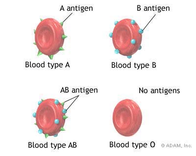 The New York Times Health Image Blood Types