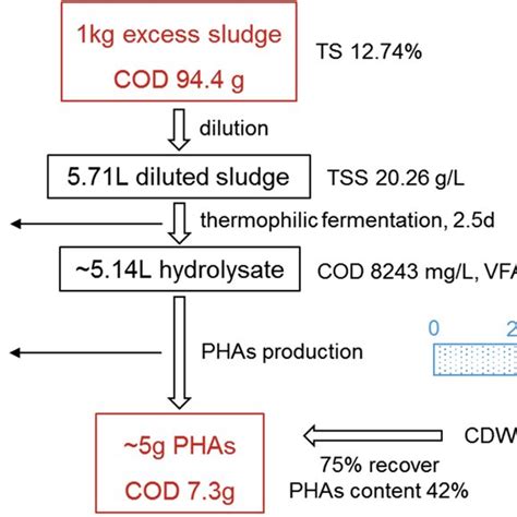 The Overall Process And Efficiency Of Pha Production With Download