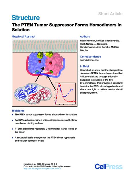 The Pten Tumor Suppressor Forms Homodimers In Solution Structure