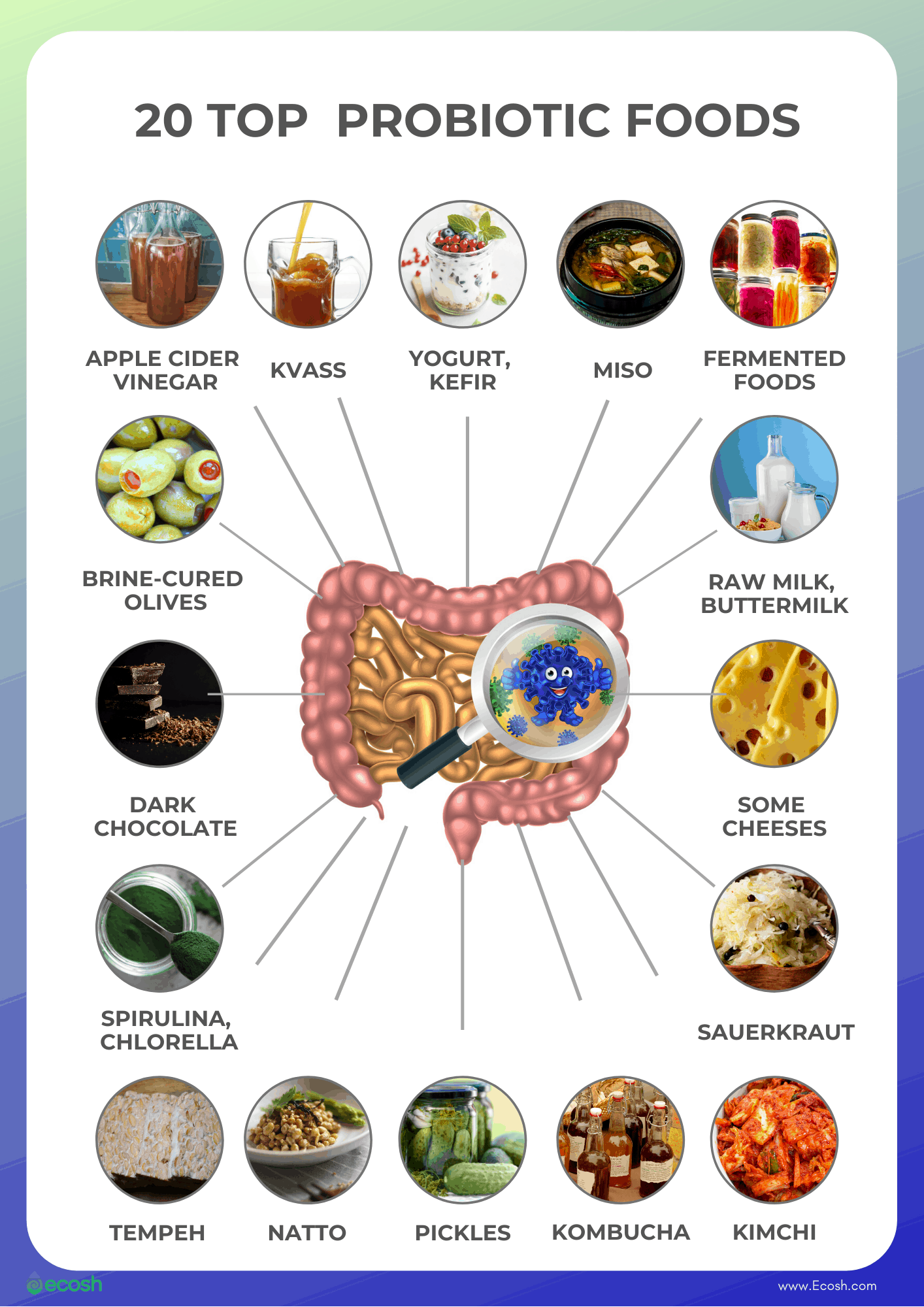 The Significance Of Probiotics Benefits And Incorporation Tips