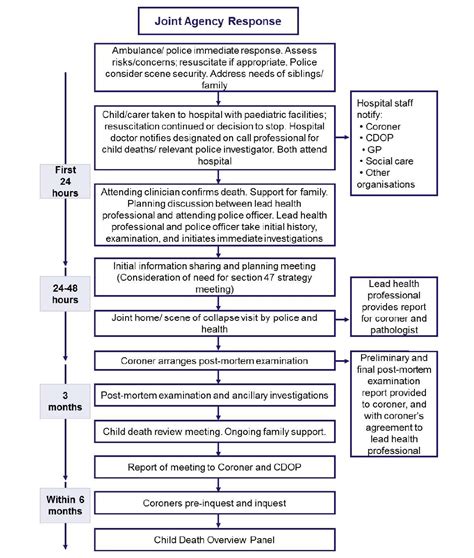 The Sudic Protocol Rcemlearning