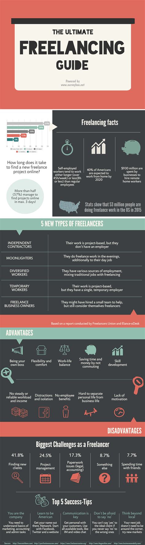 The Ultimate Freelancing Guide Infographic