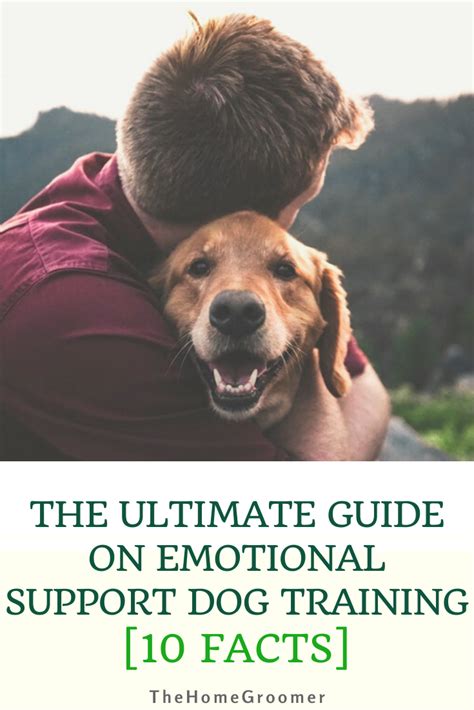 The Ultimate Guide On Emotional Support Dog Training 10 Facts