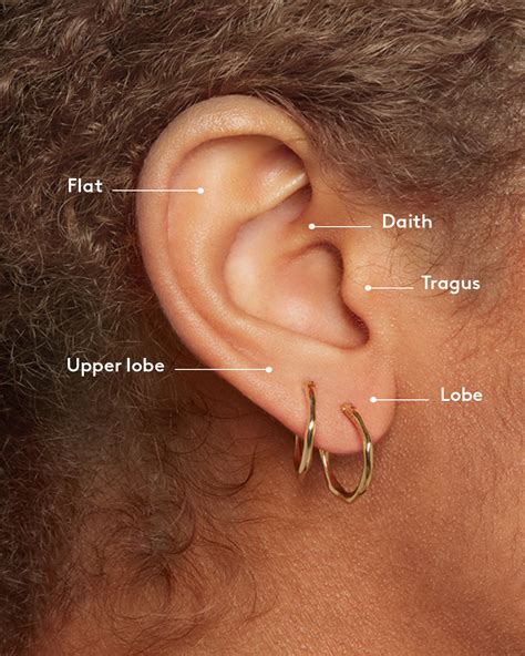 The Ultimate Piercing Size Guide Types Sizes And Fitting Musemond