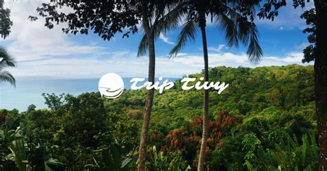 The Worst Time To Visit Costa Rica Traveler S Guide In 2024 Triptivy