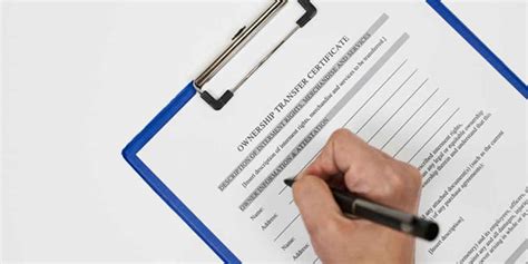 This Article Tells About The Required Documents During Probate