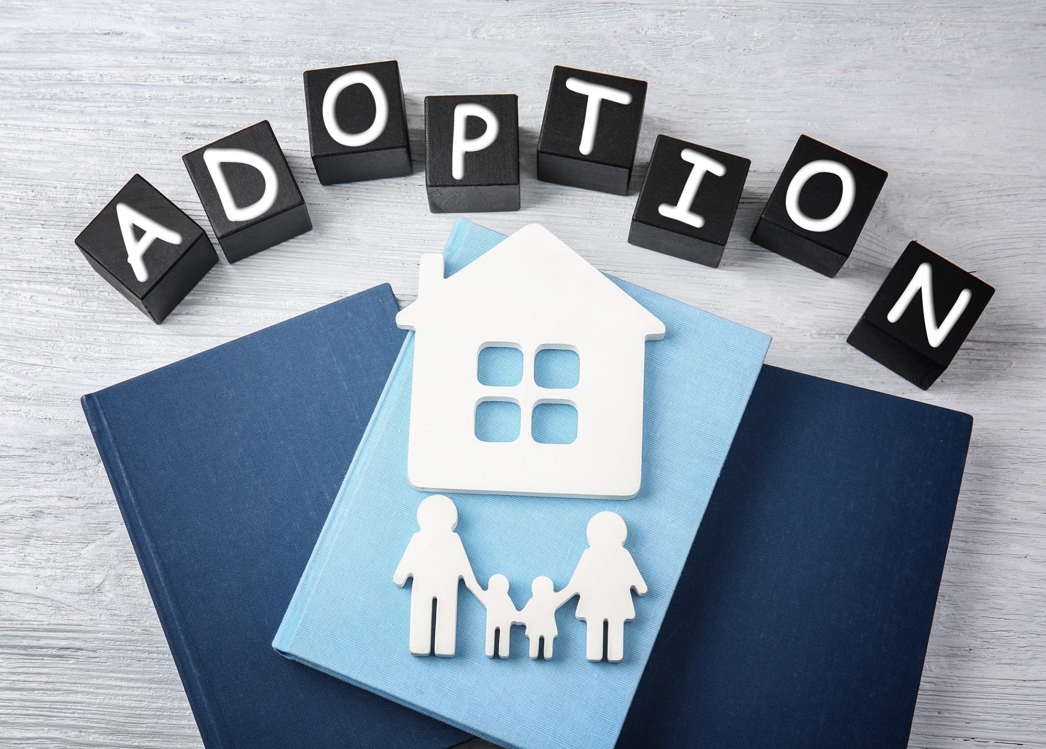 Tips For Choosing An Adoption Agency Follow Your Detour