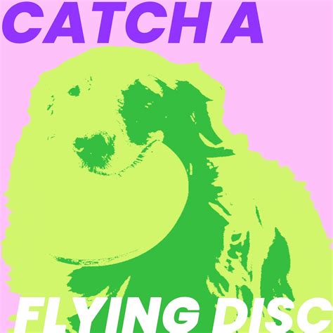 Tips To Teach A Dog To Catch A Flying Disc Dog Toy Pawspik