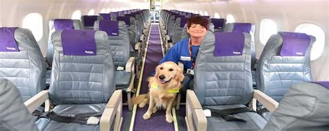 Top 10 Pet Friendly Airlines That You Need To Know Easemytrip