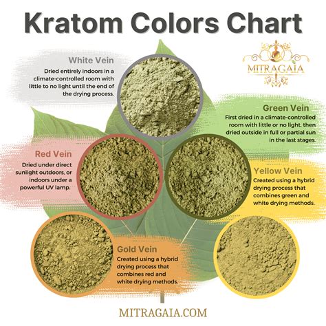 Top 3 Best Kratom Strains For Your Well Being Kratom Sensation