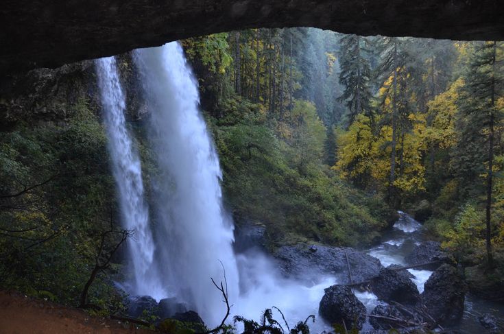 Top 5 Oregon State Parks For Camping And Sightseeing