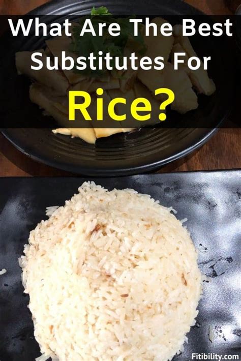 Top 8 Rice Substitutes For All The Recipes You Want To Prepare Fitibility