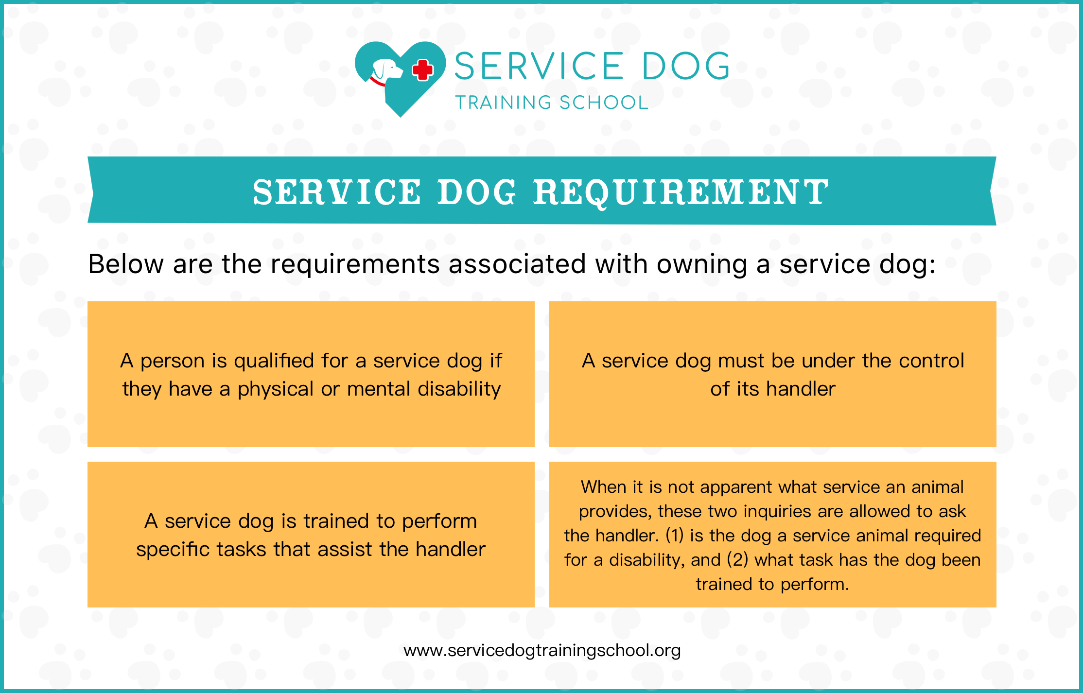 Training Requirements For Service Dogs What You Must Know