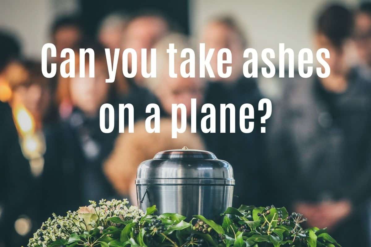 Travel Guide Can You Take Ashes On A Plane Taking Ashes Abroad