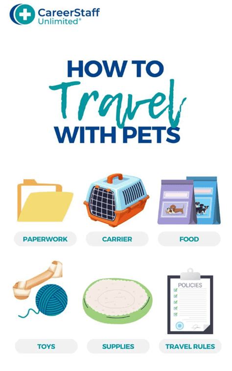 Travel Nursing How To Travel With Pets Careerstaff Unlimited