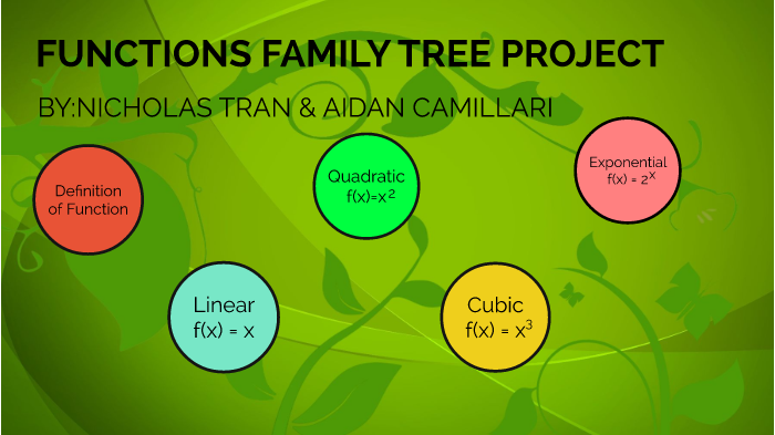 Tree For Kids Types Functions And Uses