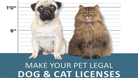 Trenton Police Department Reminding Residents Of Pet License Requirements