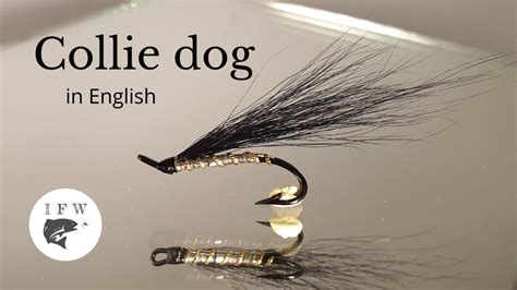 Tying A Fly Called Collie Dog Fly Tying Tutorial Var S Fly Workshop