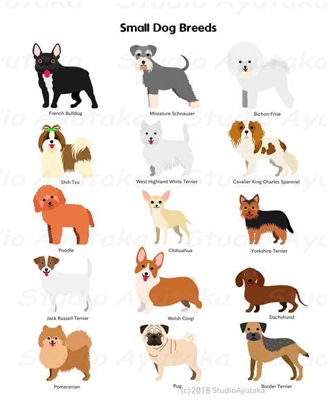 Types Of Dogs Printable Chart