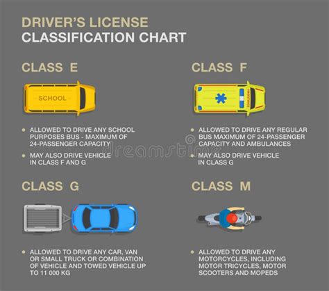 Types Of Driving Licences And Descriptions Driver S License