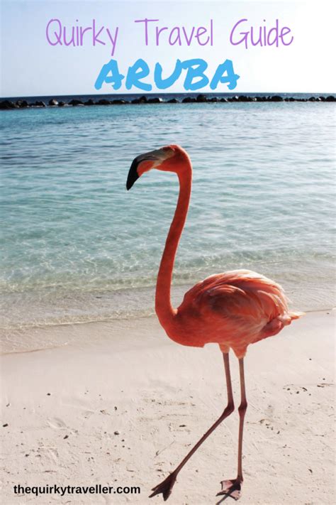 Ultimate Travel Guide Aruba Aruba Travel Things To Do In Aruba