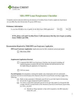 Understanding Ppp Loan Forgiveness Application And Instructions