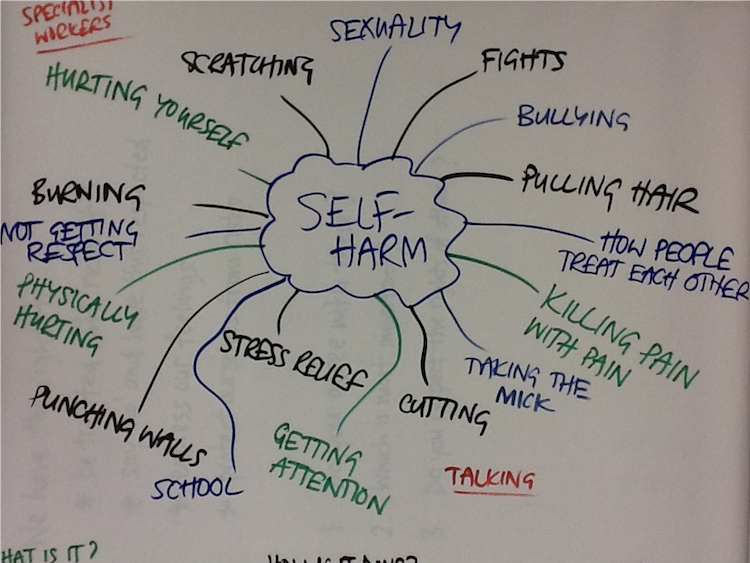 Understanding Self Harm 3 C Family Services