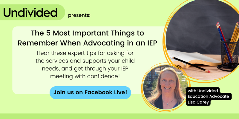 Undivided Full Video Tips From A Professional Iep Advocate