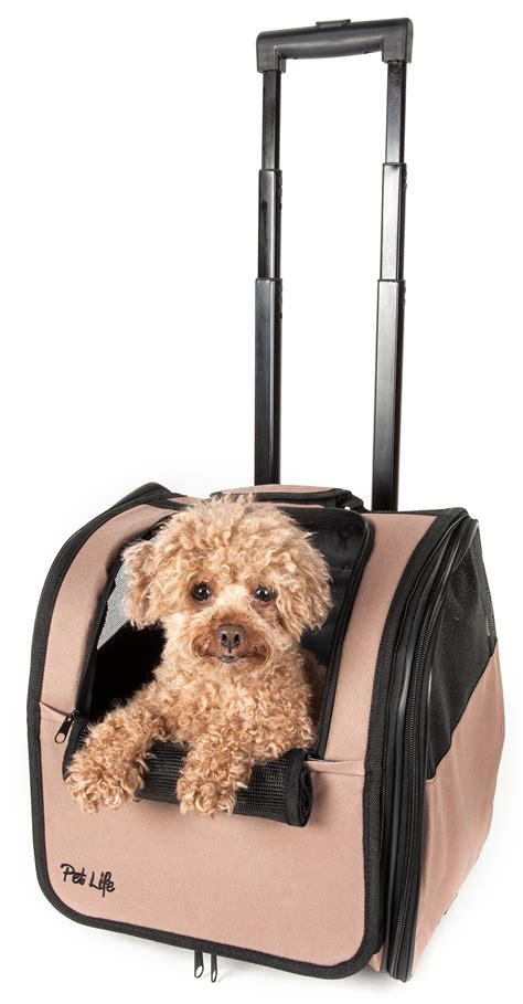 United Airlines In Cabin Pet Carrier Dimensions At Roland Battle Blog