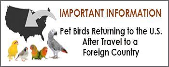 Usda Pet Travel From Us To Uk Travelvos