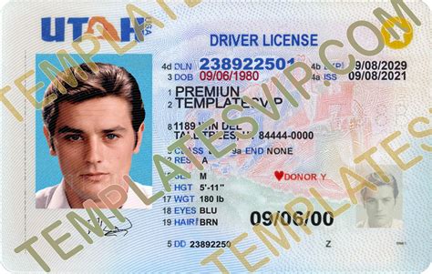 Utah Driver License Template All Psd Templates