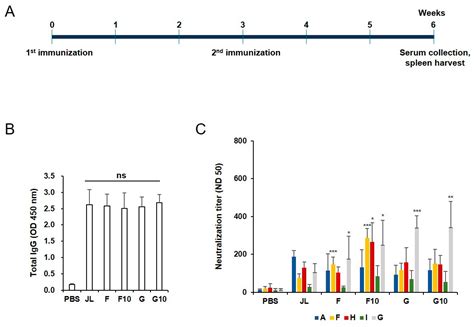 Vaccines Free Full Text Improved Immunogenicity Of The Inactivated F Genotype Mumps Vaccine