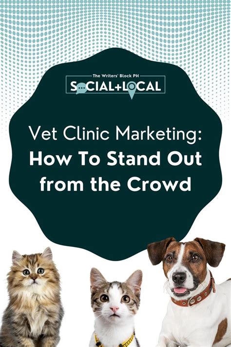 Vet Clinic Marketing How To Stand Out From The Crowd The Writers