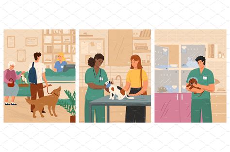 Vet Clinic Vector Illustration Set Vector Graphics Creative Market