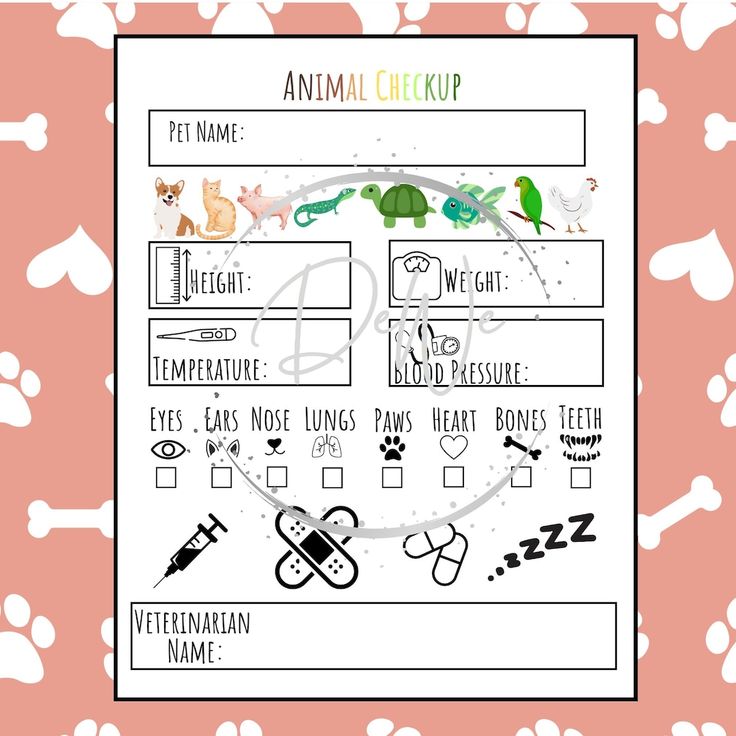 Vet Dramatic Play Checklist Vet Pretend Preschool Paperwork By Jill Dean