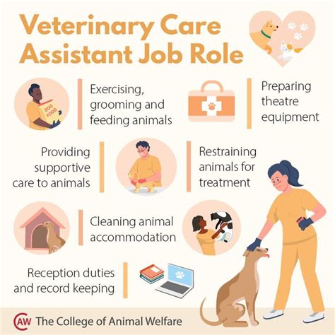 Veterinary Care Assistant Job Role Veterinary Care Assistant Jobs