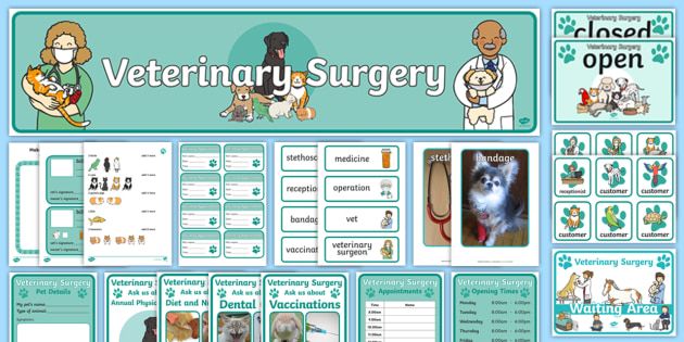 Vets Surgery Pet Appointments Form Vets Vet Vet Role Play