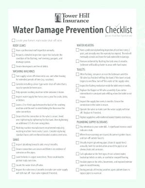 Water Damage Mitigation Plan Template