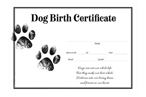 What Are Dog Papers The Importance And Significance