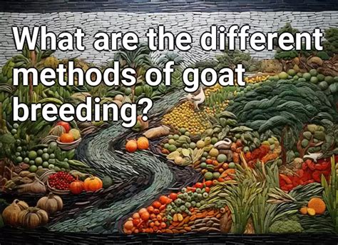 What Are The Different Methods Of Goat Breeding Agriculture Gov Capital